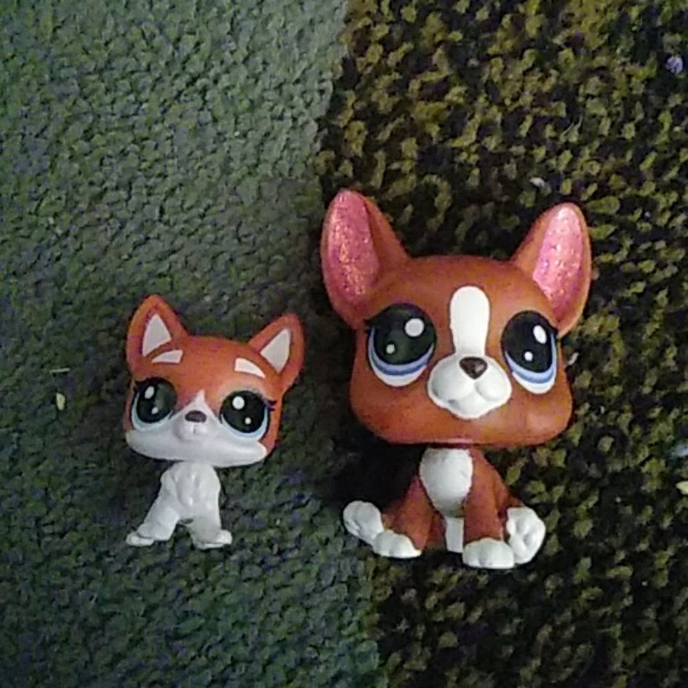 Mother daughter lps corgy